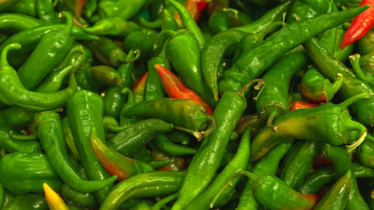 green chilli storage tips (2)
