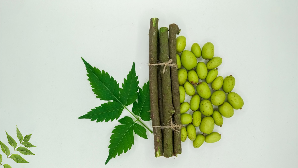neem leaves benefits for health