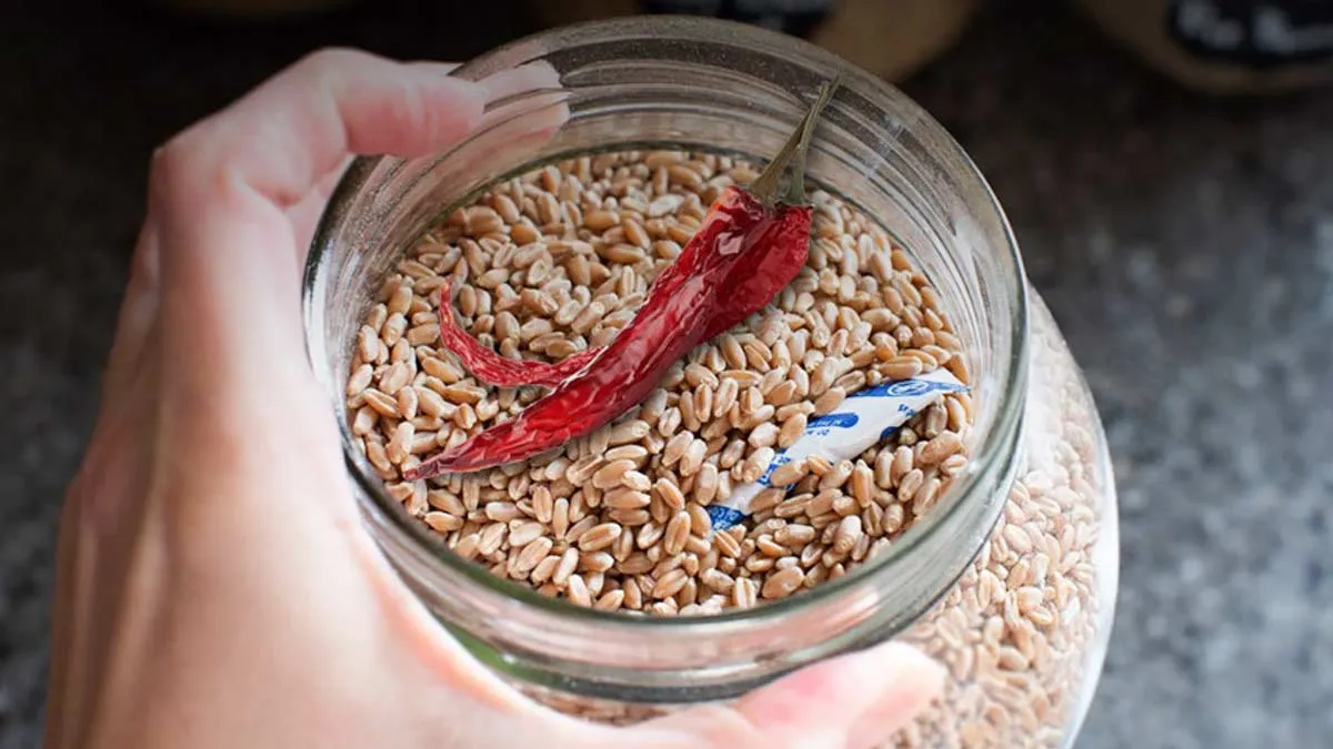 red chili peppers for preservation