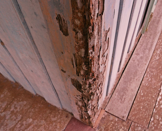 How do I permanently control termites