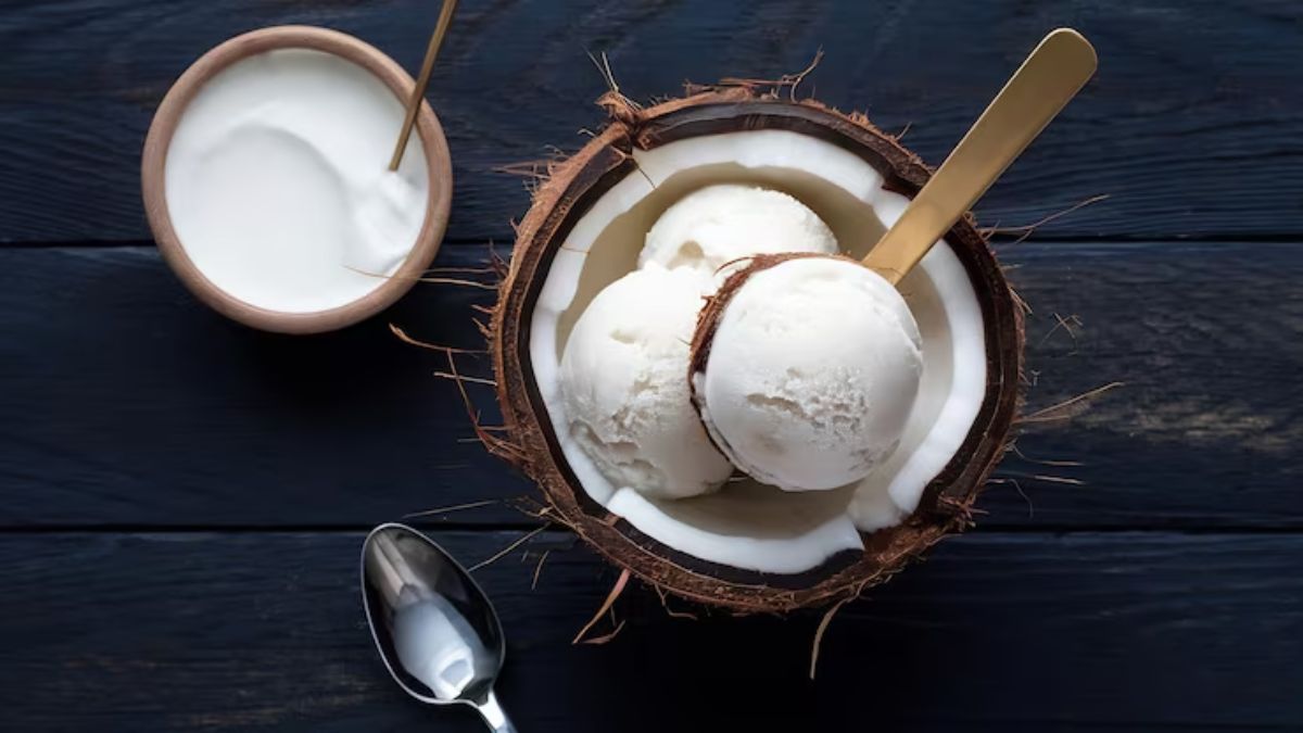 homemade sugar free ice cream (3)