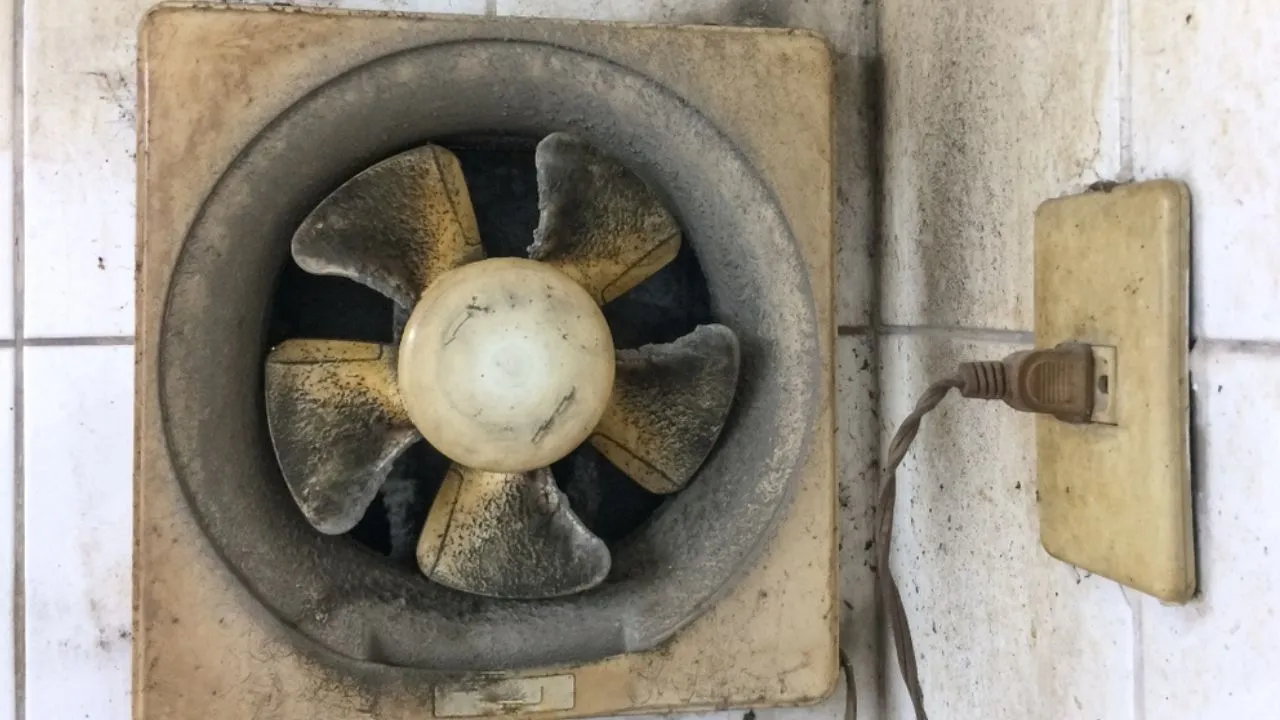 Kitchen hygiene practices