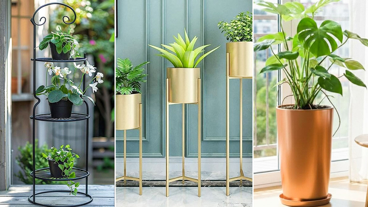 Metal Stand Planter Designs: मेटल प्लांटर स्टैंड से सजाएं बालकनी और लिविंग एरिया, देखें डिजाइंस