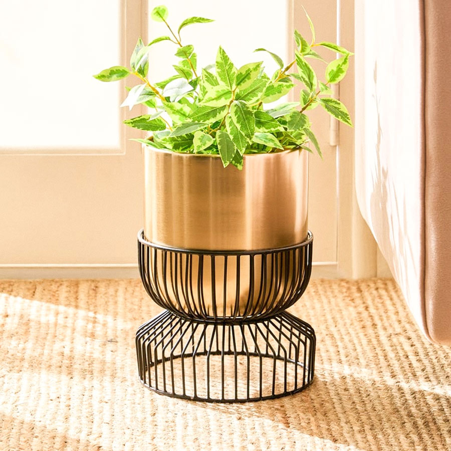 4 - 2026-04-06T103611.698