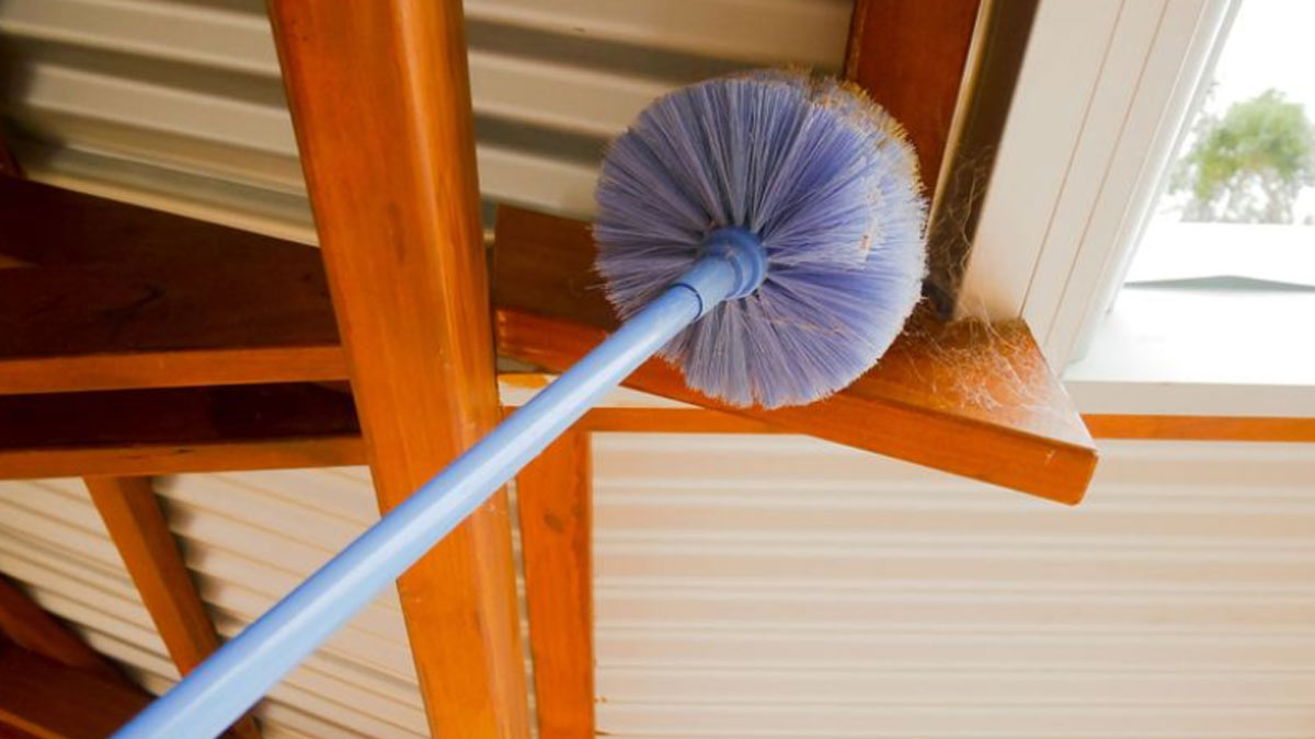 how to remove cobwebs from kitchen walls
