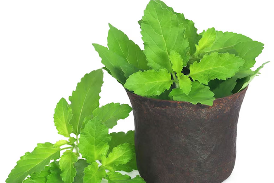 2 - 2026-04-08T125707.275