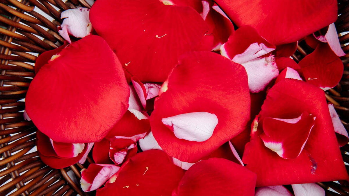 2 - 2026-04-08T125736.289