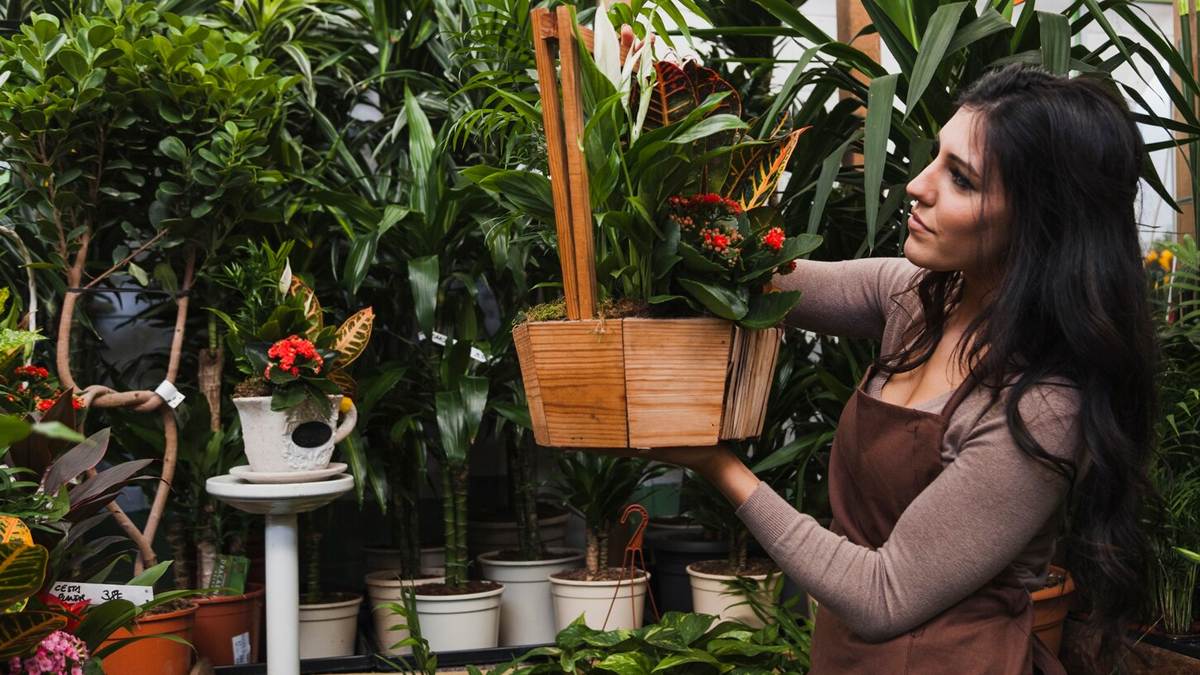 1 - 2026-04-09T162424.736