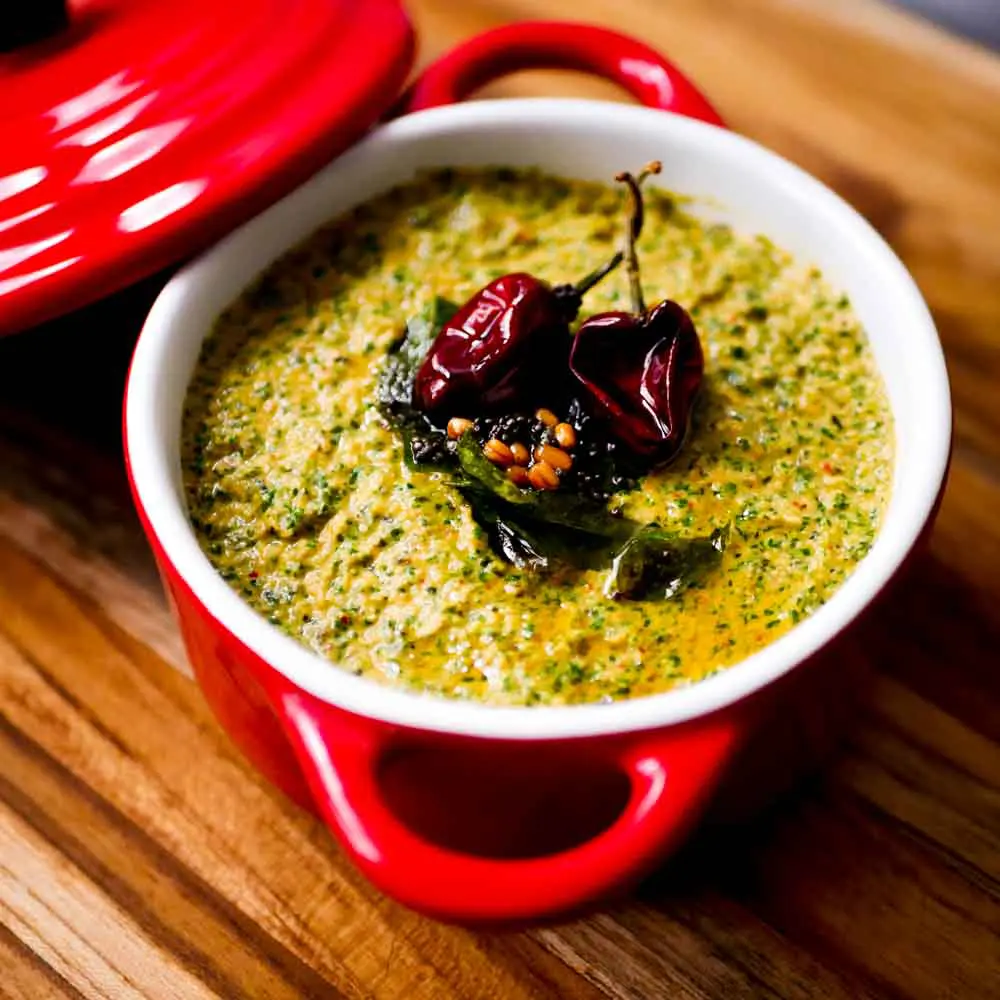 pudina-chutney-recipe-1-1