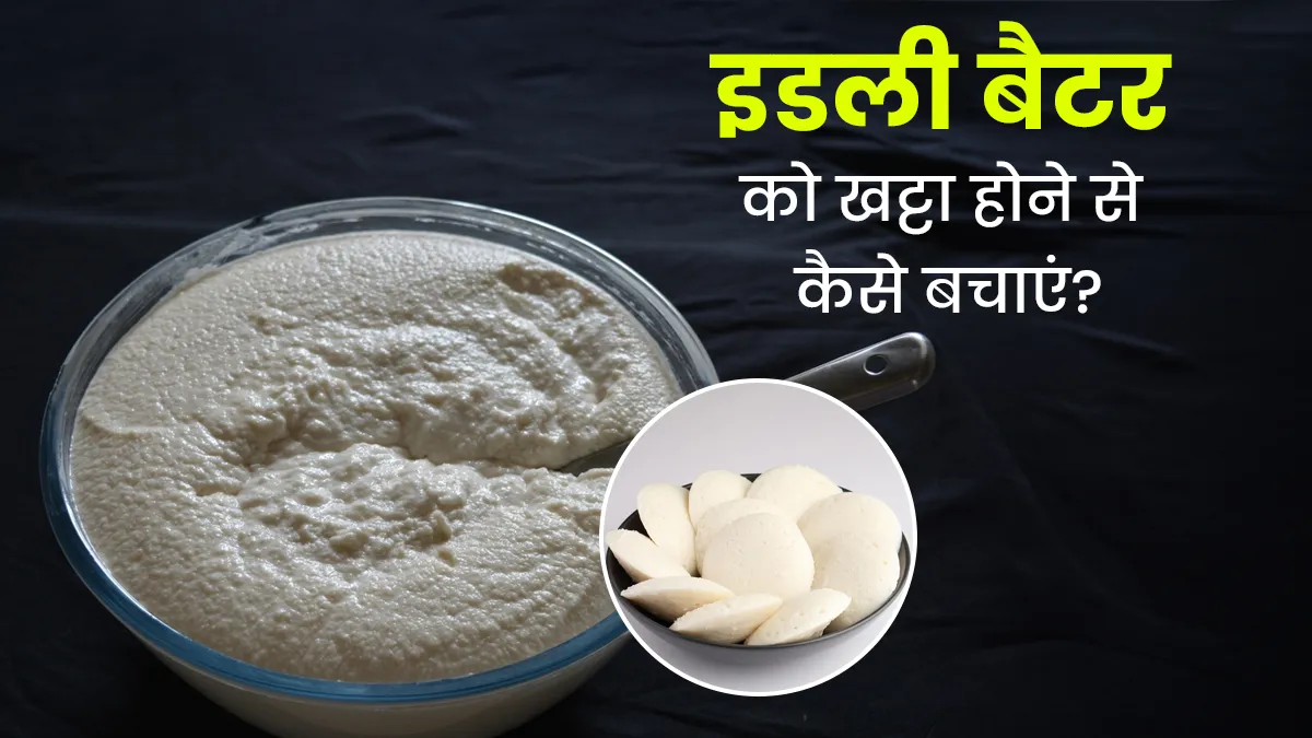 try this leaf if idli batter too sour in summer