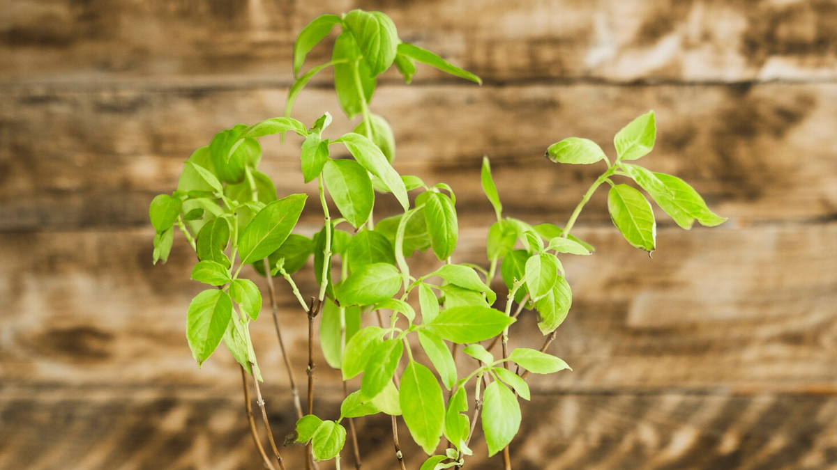 1 - 2026-04-10T135308.651