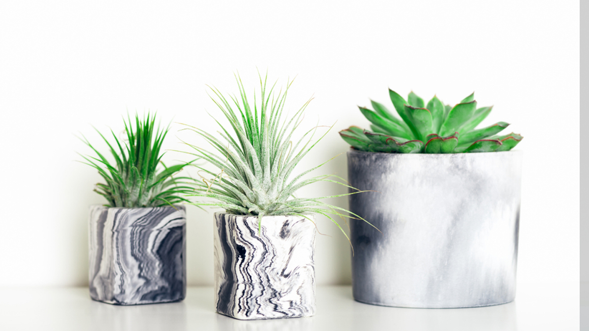 1 - 2026-04-10T172958.566