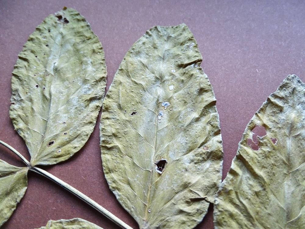 3 - 2026-04-10T125623.810