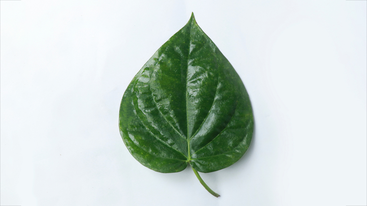 betal leaves for idli batter