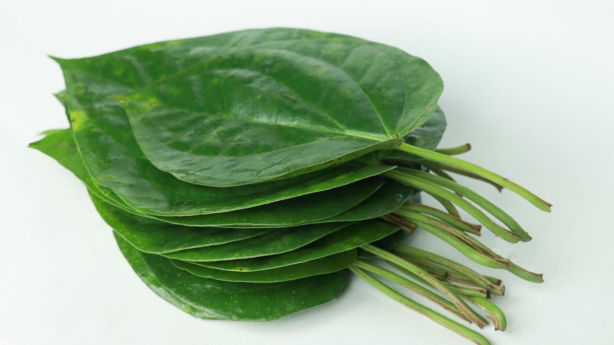 betal leaves idli batter too sour in summer