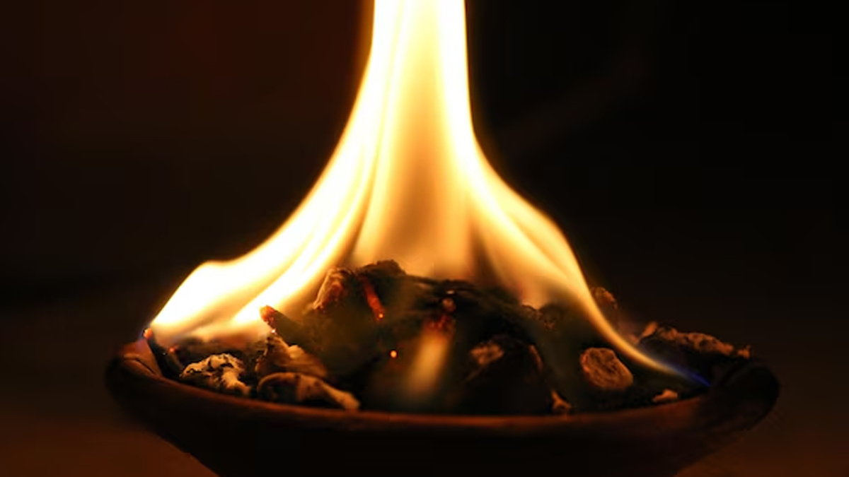 yellow mustard remedy