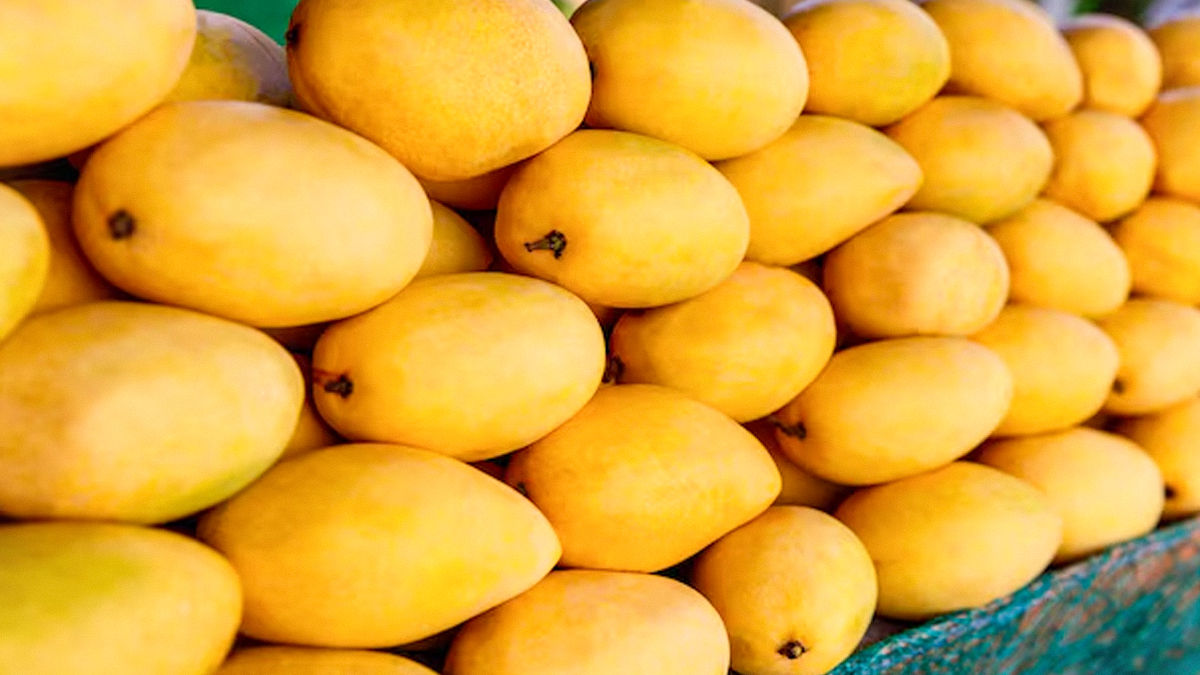 2 - 2026-04-13T190247.492