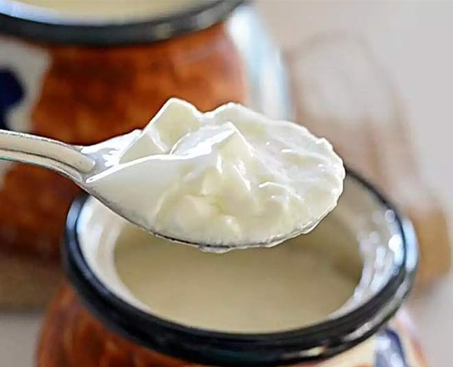 best-tricks-to-make-curd