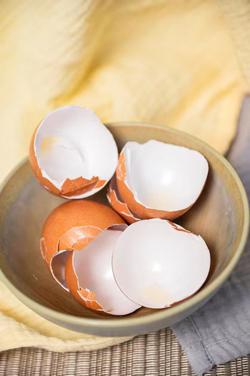 egg shell reuse hacks