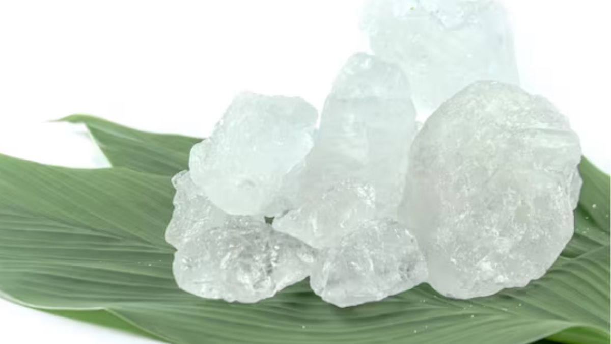 how to get rid of mosquito naturally (2)