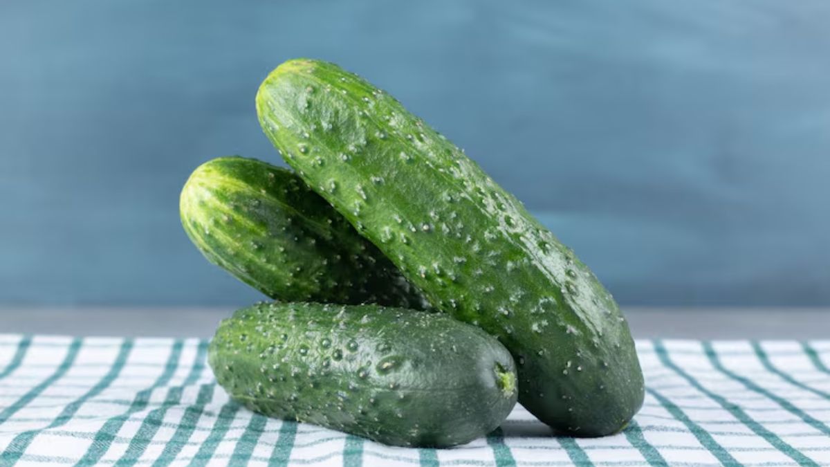 इंजेक्‍शन वाले खीरे खाकर कहीं आप भी तो नहीं ब‍िगाड़ रहीं सेहत? खरीदते समय ऐसे करें असली-नकली की पहचान