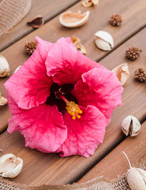 2 - 2026-04-14T130614.324