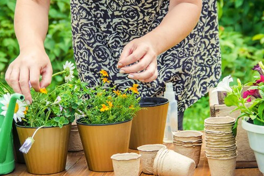 2 - 2026-04-16T133556.593