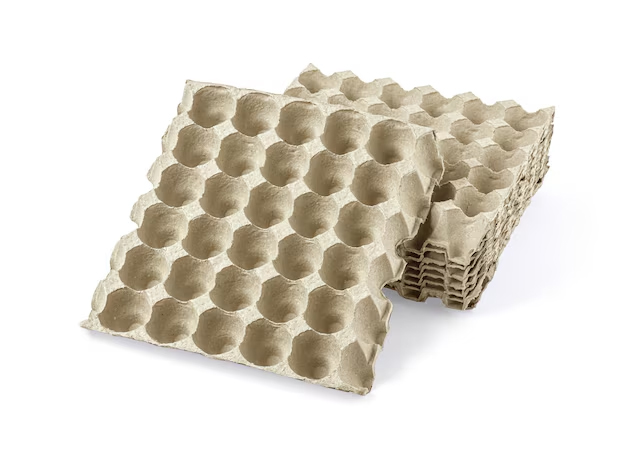 Egg tray reuse ideas