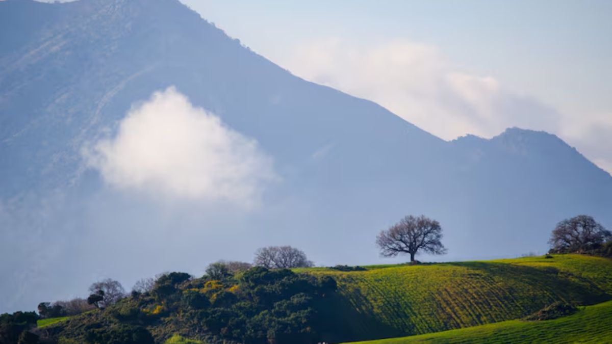 chamba hill station (1)