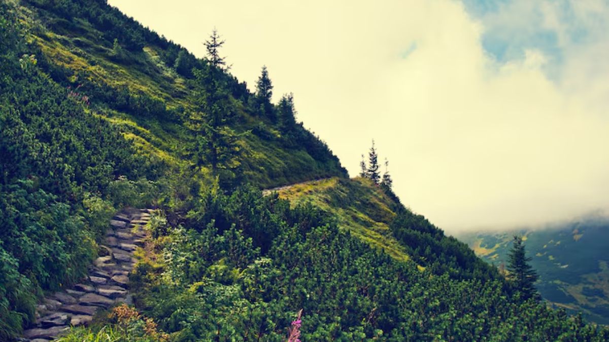 chamba hill station (2)