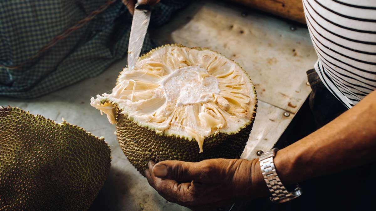 how-to-cut-jackfruit-in-hindi