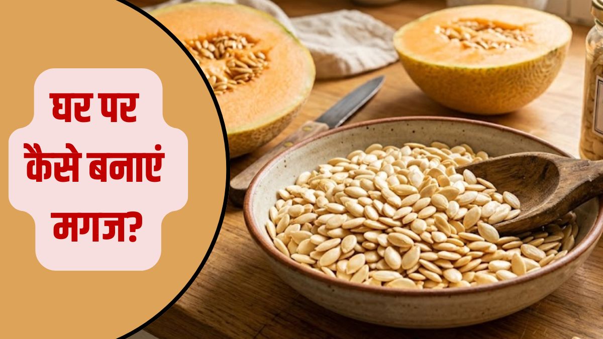 Magaj Seeds At Home: बाजार का महंगा मगज अब घर पर करें तैयार, ये ट्रिक बचाएगा आपके पैसे