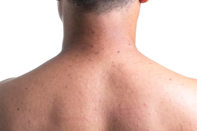 1 - 2026-04-17T170951.600