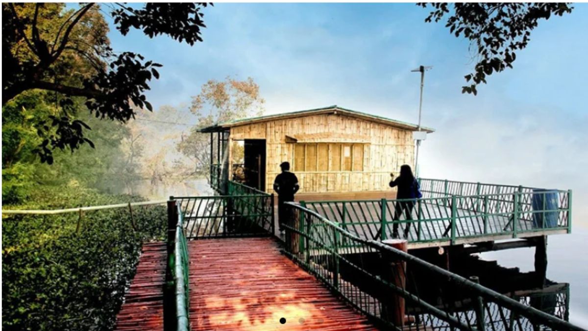 chuka beach at pilibhit tiger reserve (2)