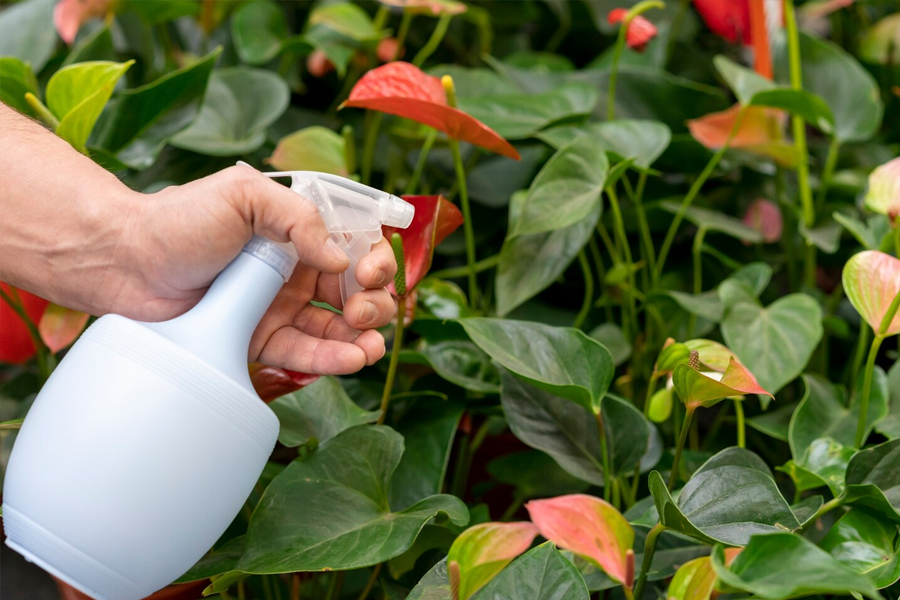 2 - 2026-04-20T165629.962