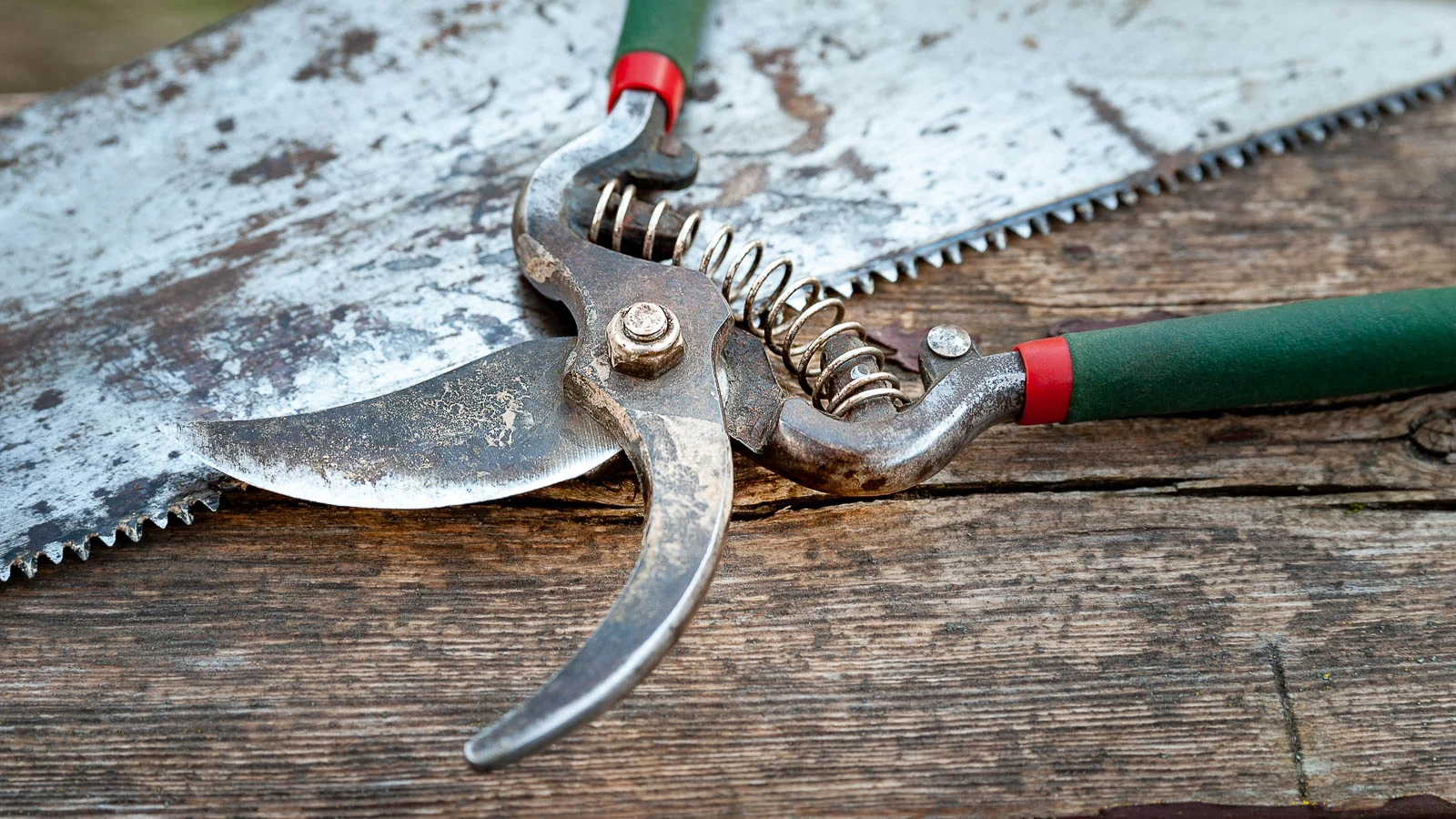 leftover cooking oil uses