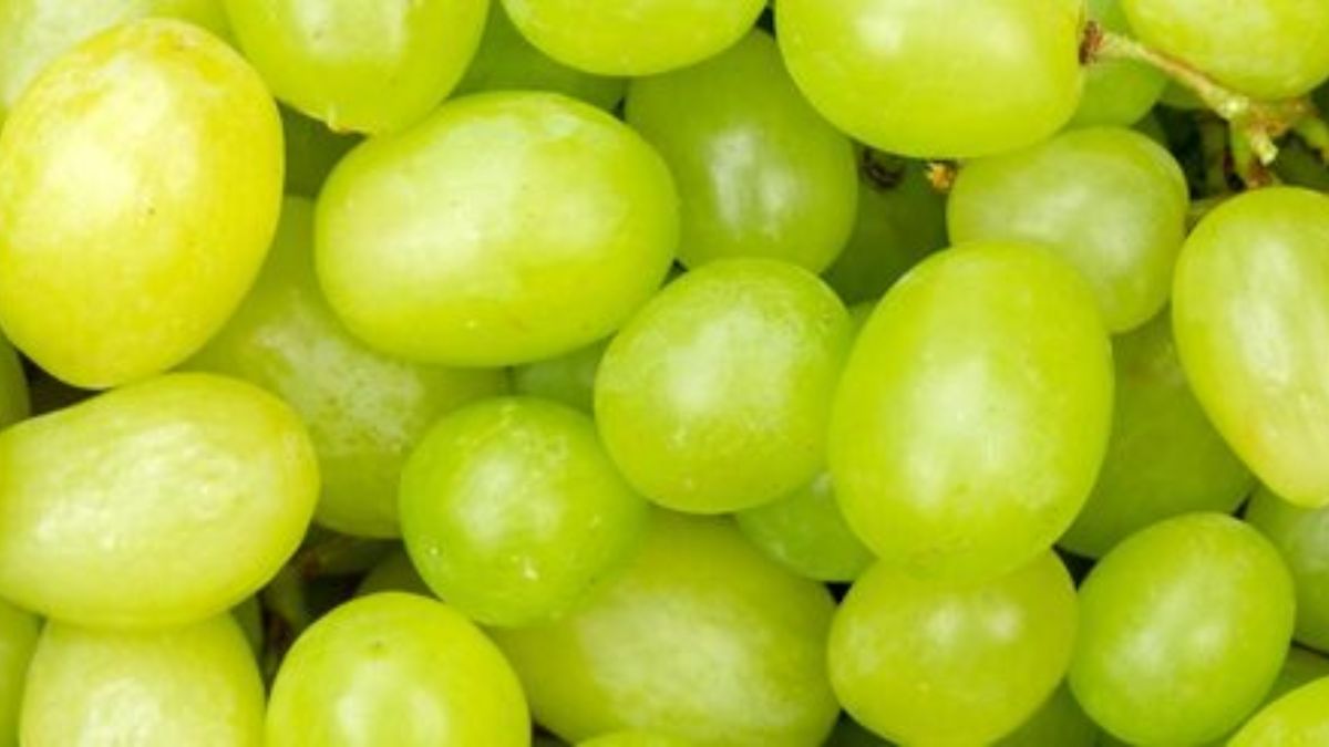 tips to identify real grapes (2)