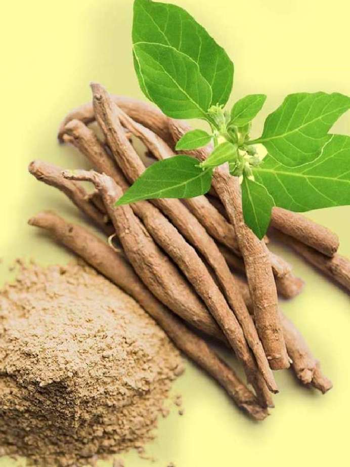 ashwagandha leaves side effects