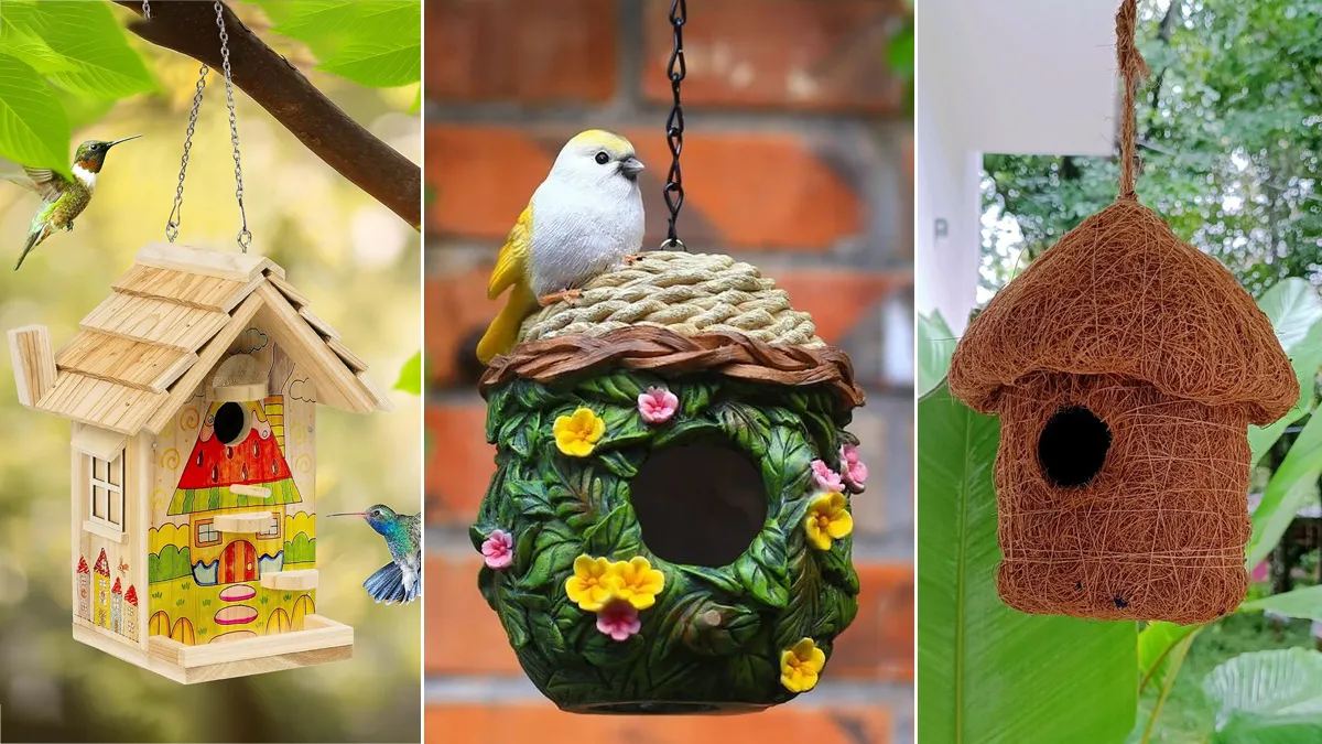 hanging Bird House Design for balcony