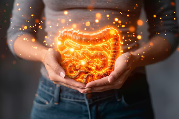 vitamin d for gut
