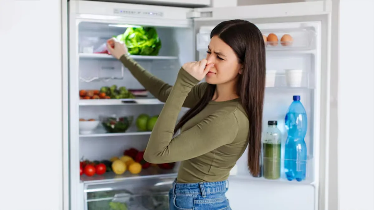 fridge odor solutions
