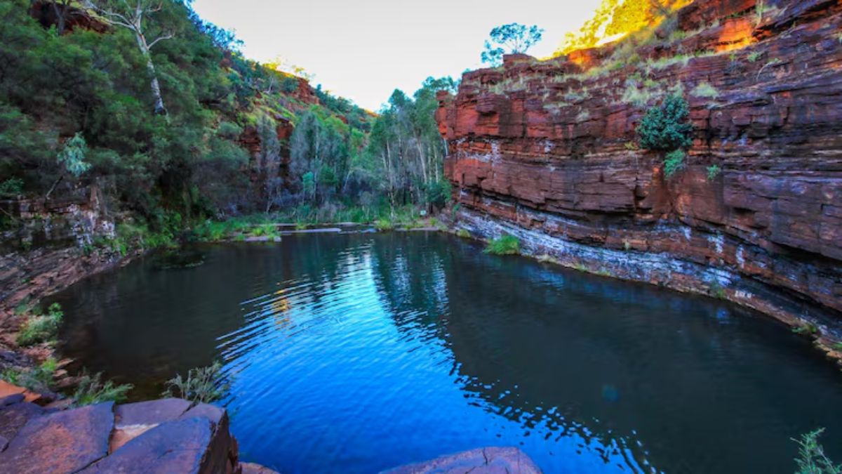 meghalaya travel tips  (1)