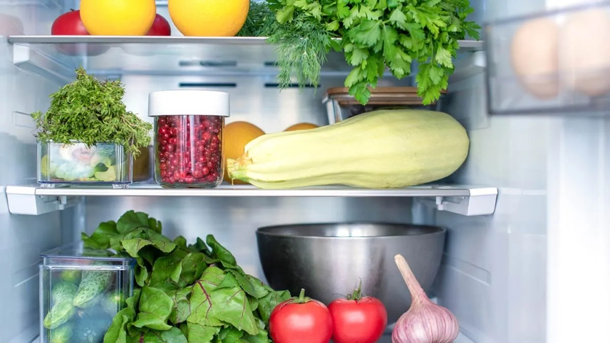 When-to-replace-a-refrigerator-1729087163038