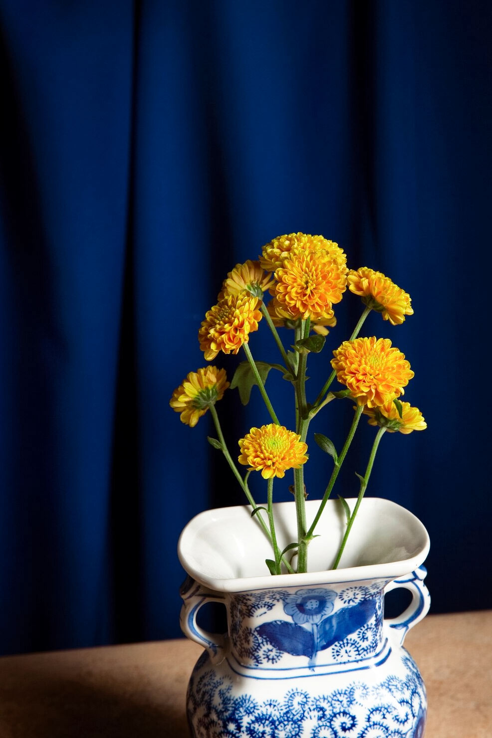 genda plant