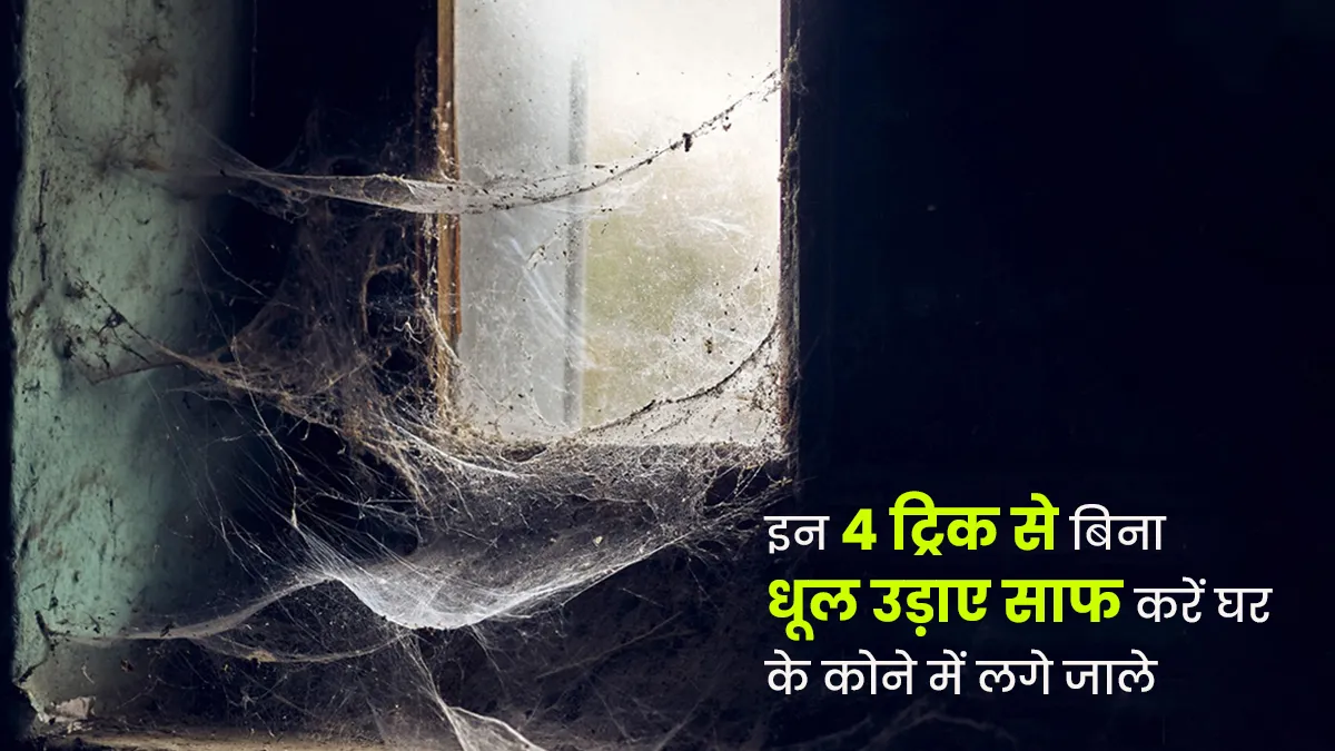 How to clean spider webs naturally