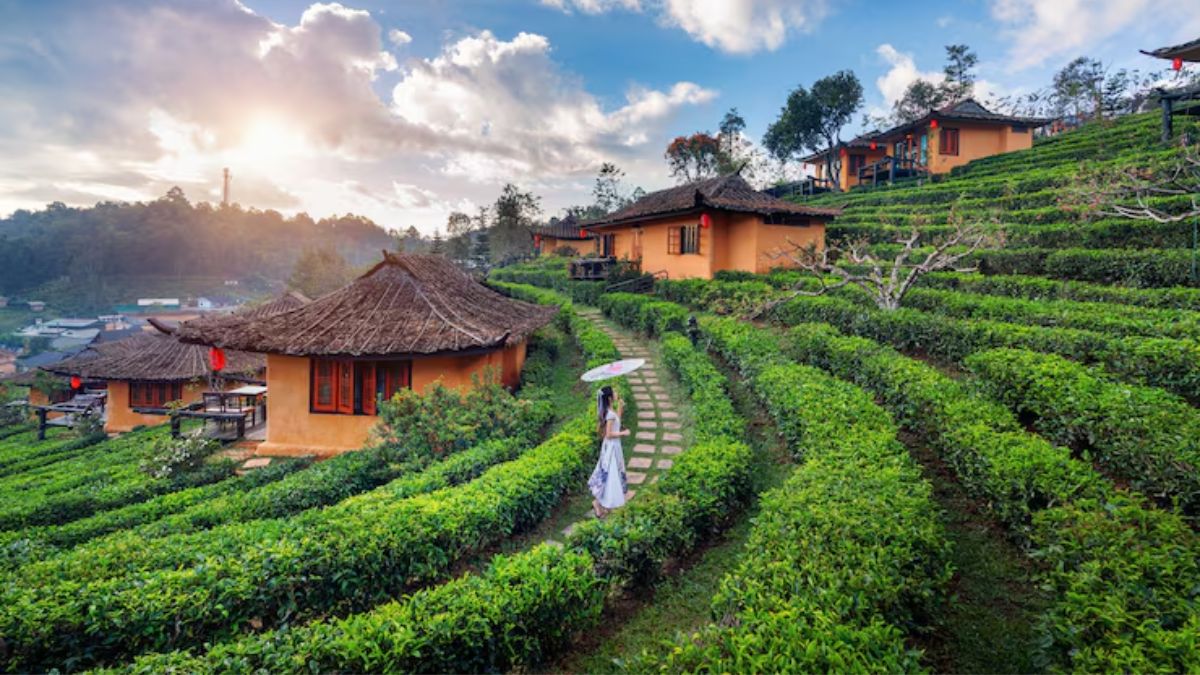 monsoon travel tips (3)