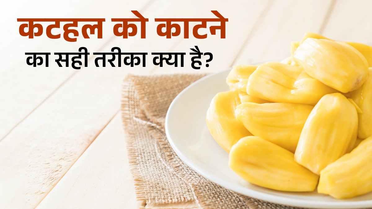 Kitchen Hacks: कटहल काटना लगता है आफत? शेफ कुणाल कपूर के इन तरीकों से मिनटों में हो जाएगा काम