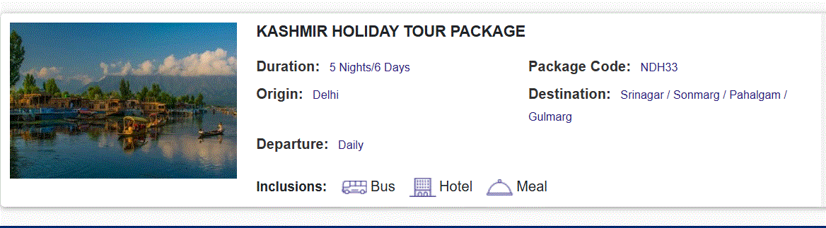Srinagar travel package