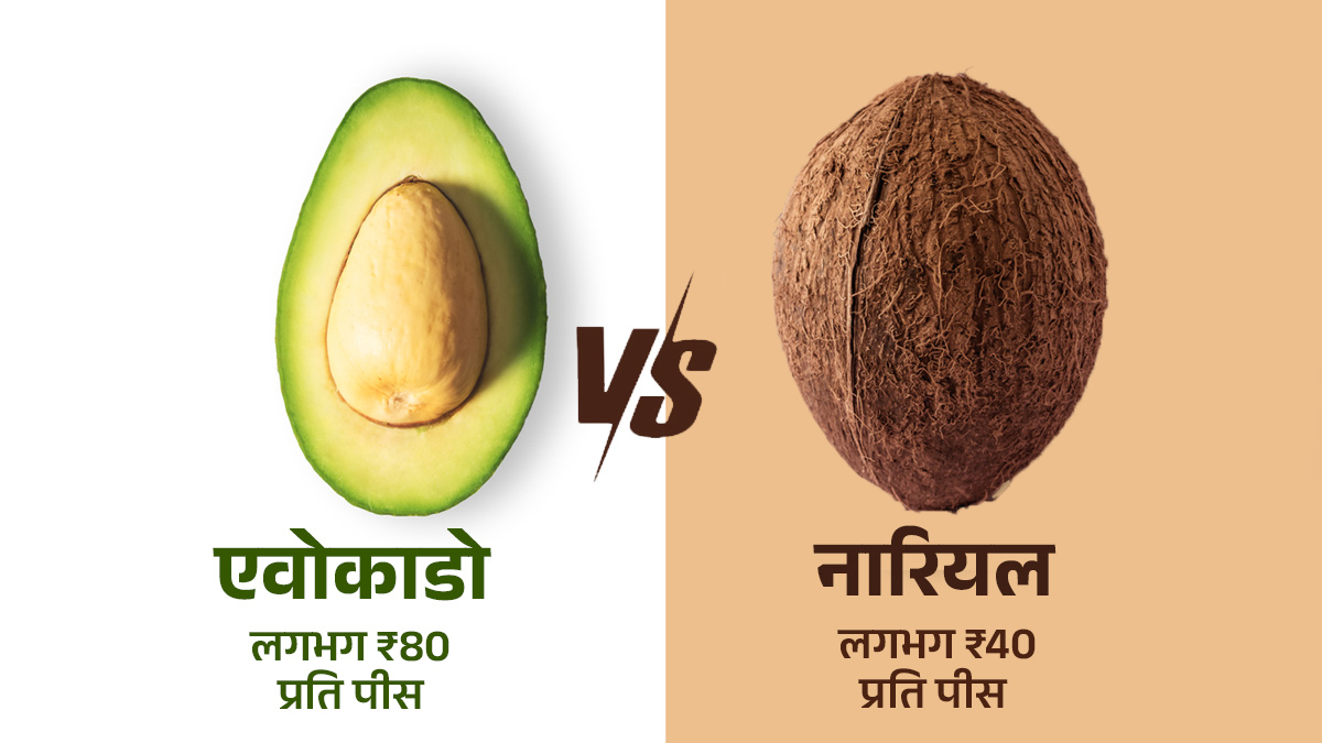avocado vs coconut