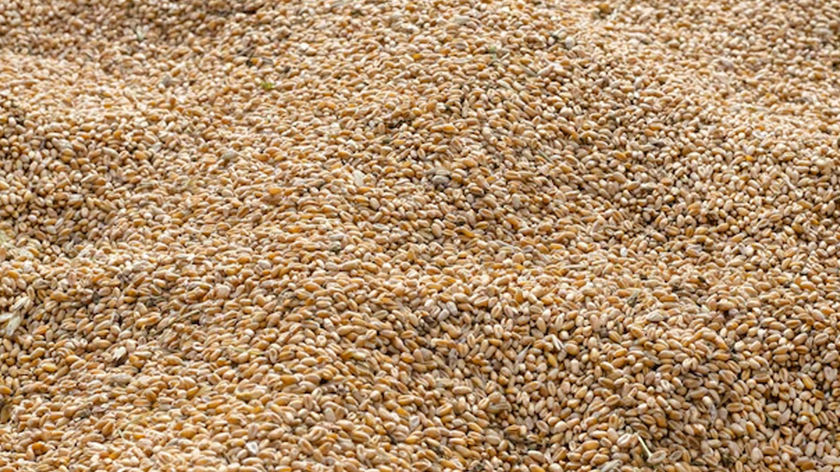 wheat cleaning hacks